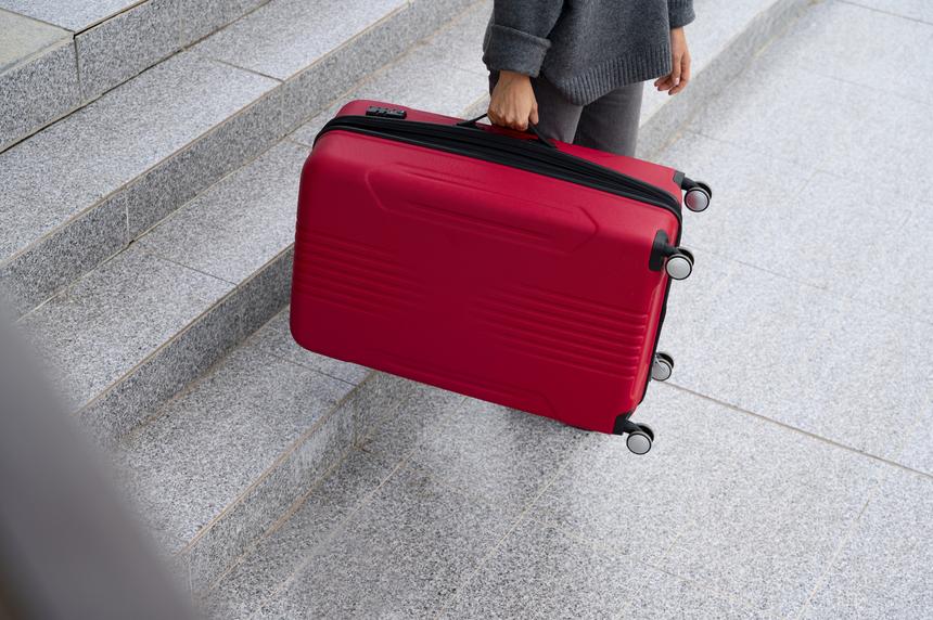 В Ленобласти нашли два чемодана с частями тела женщины