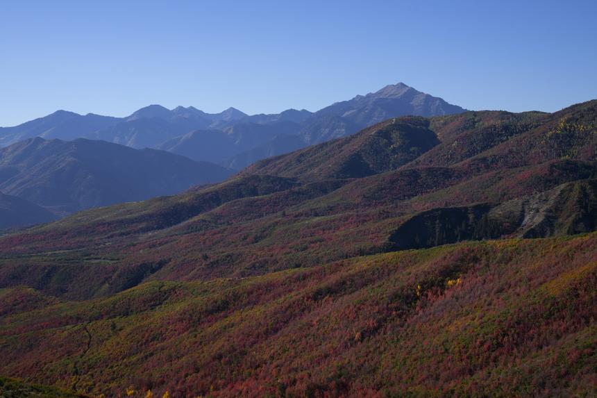 Искали три дня: в горах Сочи нашли туриста с закрытой черепно-мозговой травмой