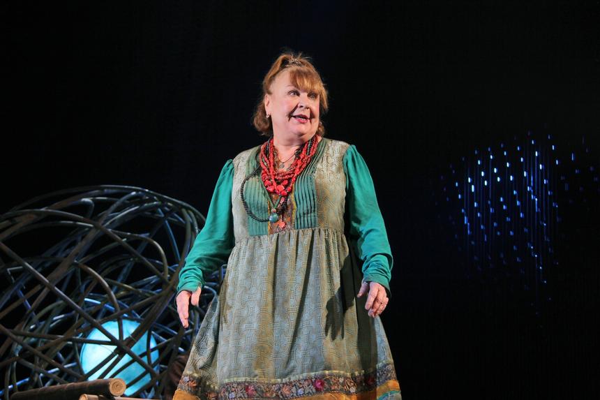 «Артист он никакой»: Кравченко сравнила «заигравшегося» Зеленского с Наполеоном