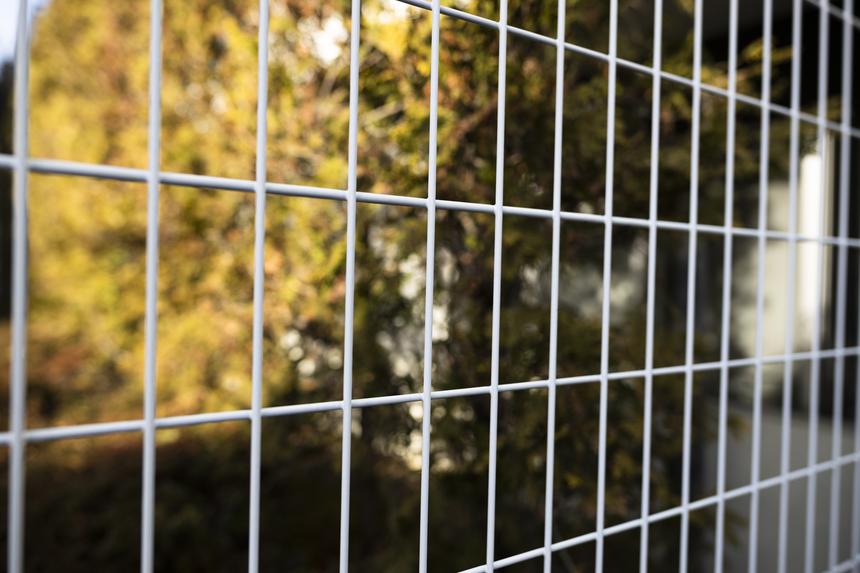 Родители вывезли ребенка на прогулку в клетке на колесах и попали на видео