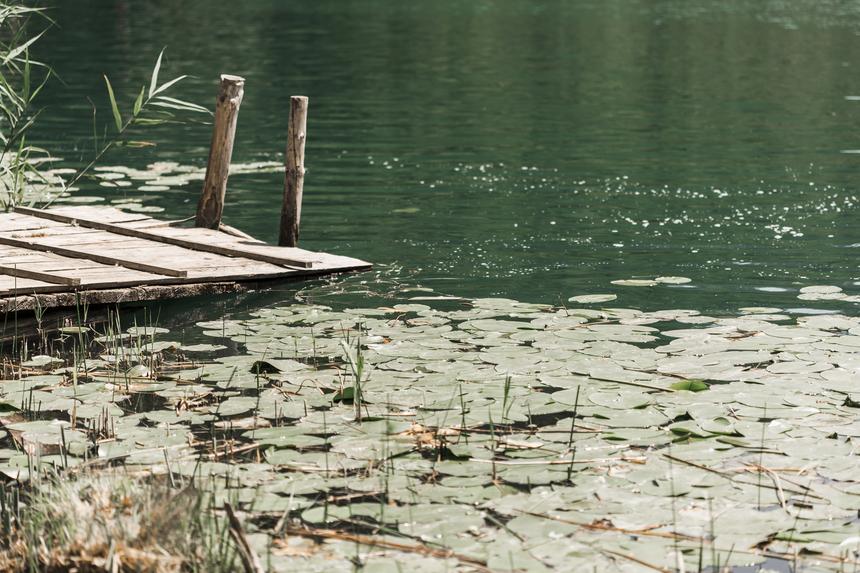 В Москве утонул член делегации Северной Кореи: хотел освежиться в жару