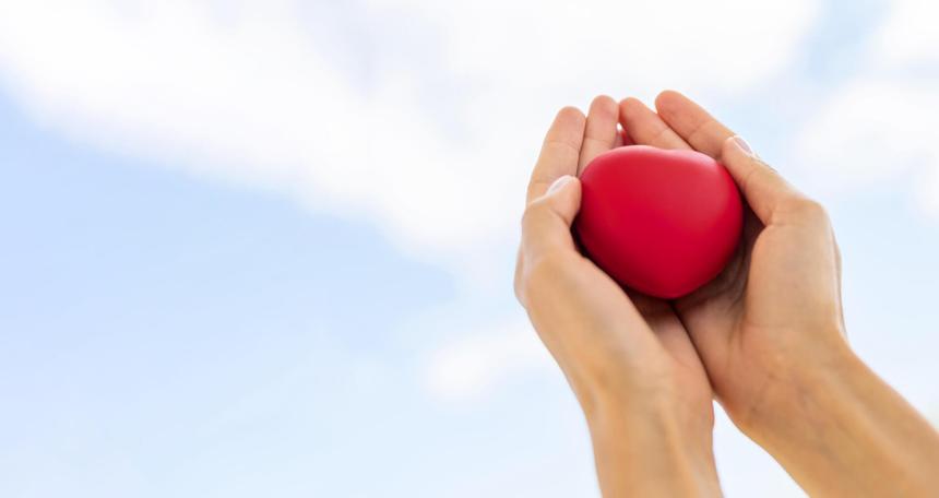 В Москве пройдёт первый благотворительный маркет «Дом Добра»