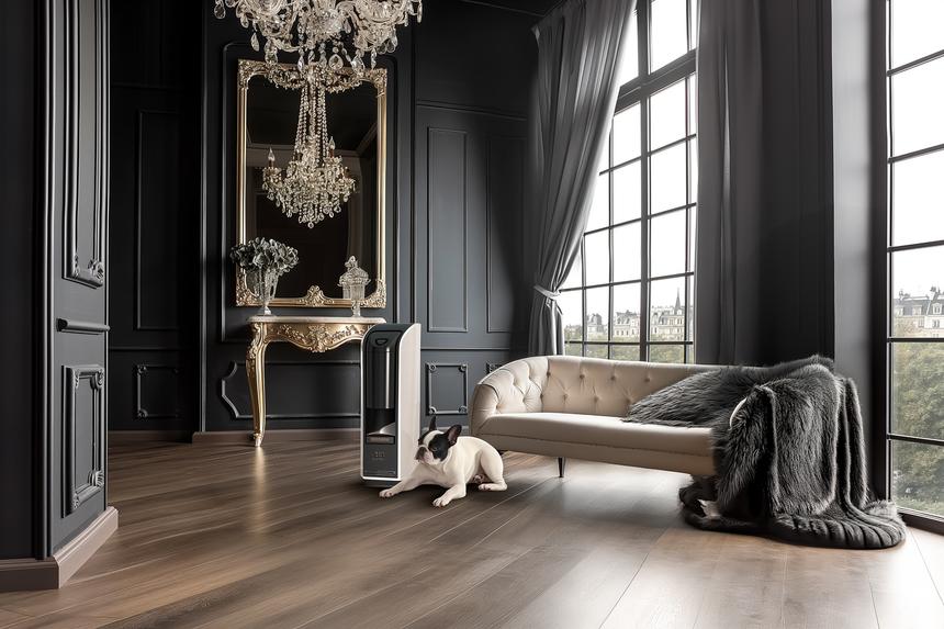 Множество спален, кухня с шеф-поваром и вид на залив: Бэкхемы собираются купить мегаособняк за 60 млн фунтов