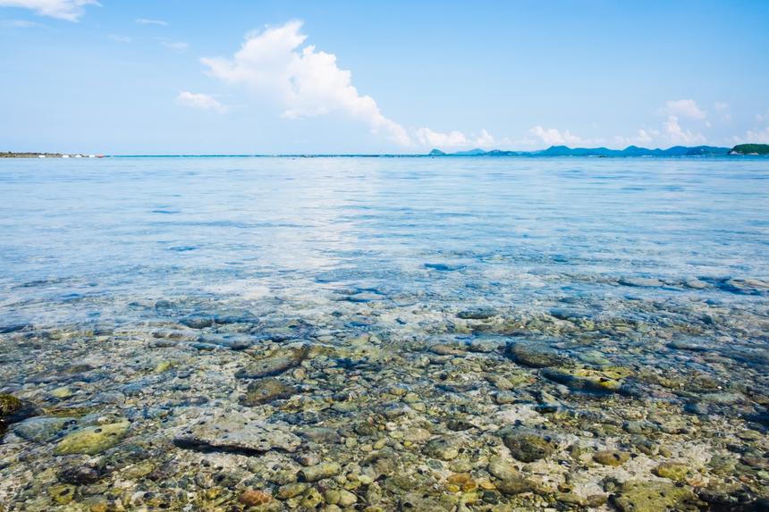 Требовала искать без остановки: пропавший в Охотском море катамаран с мужчиной нашли благодаря бывшей жене