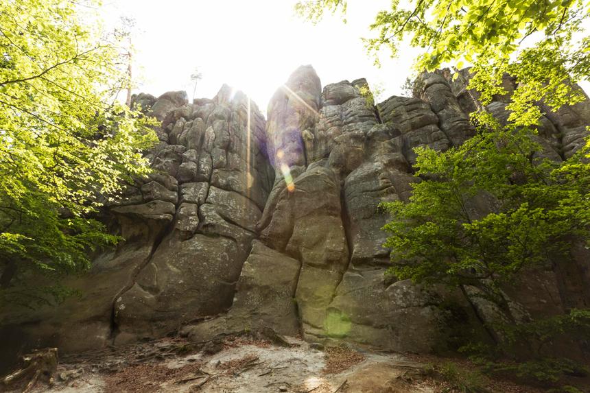 Погибшая во время камнепада на Алтае девушка окончила школу в этом году