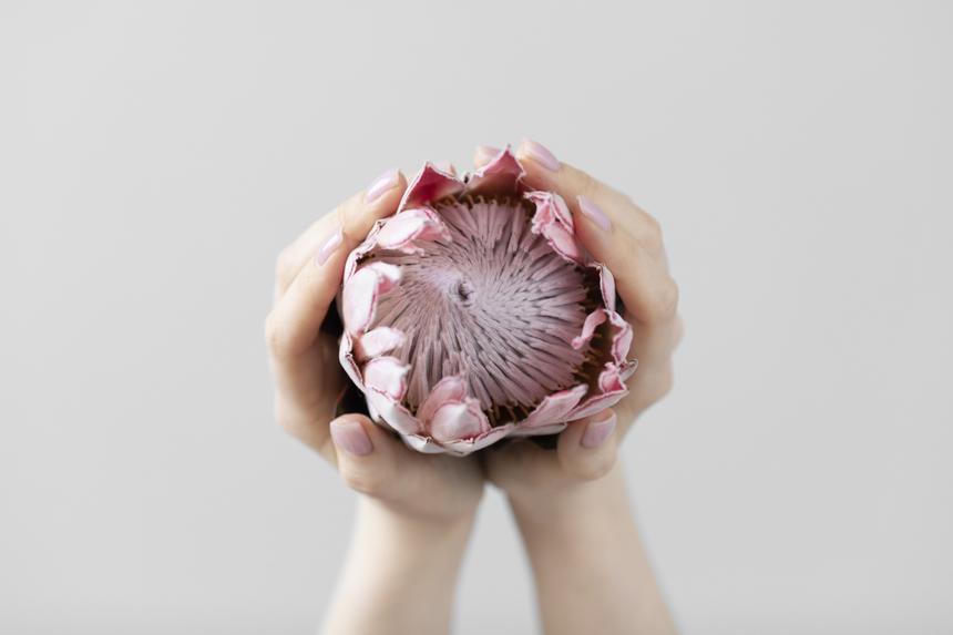 Антинаучно: врач объяснил, почему «лотосовые роды» угрожают здоровью малыша