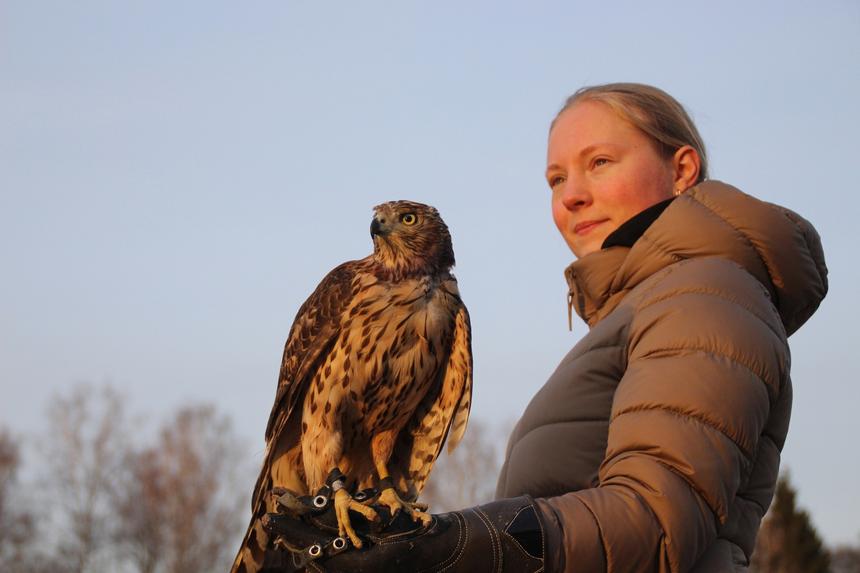 Елена Исаева