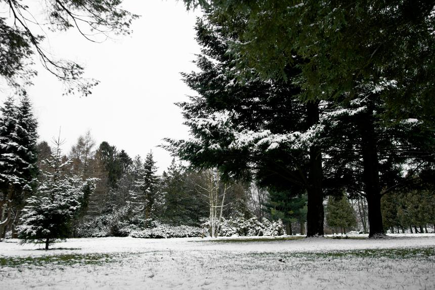 Поехавшую на учебу 18-летнюю студентку из Подмосковья нашли мертвой в лесу в 62 километрах от дома