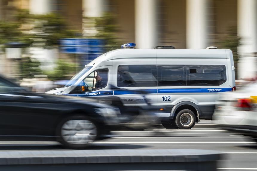 Бастрыкин поручил возбудить уголовное дело после избиения и смерти москвича, кормившего кошек