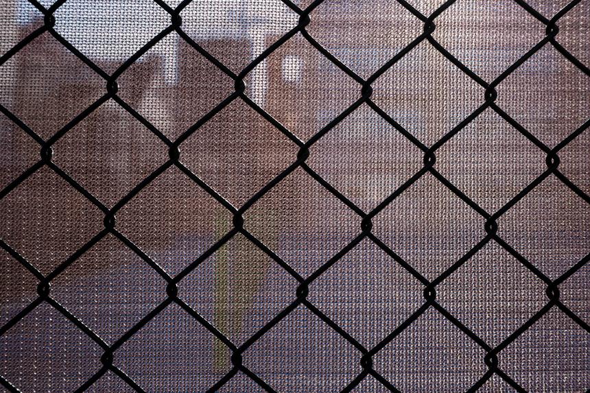 Ева Меркачёва объяснила, почему людей с высшим образованием стали чаще отправлять в СИЗО