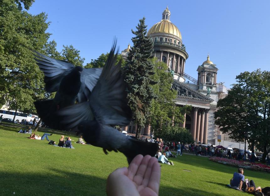 В возрасте 86 лет умер поэт и автор гимна Санкт-Петербурга Олег Чупров