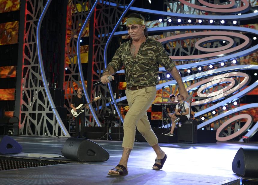 Проживающая в США жена Валерия Леонтьева стрижет собак Курниковой и Гибсона