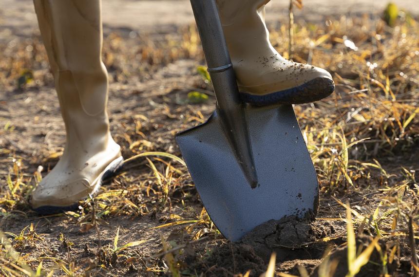Мужчина убил жену лопатой и закопал в лесу за нарушение спокойствия после рабочего дня