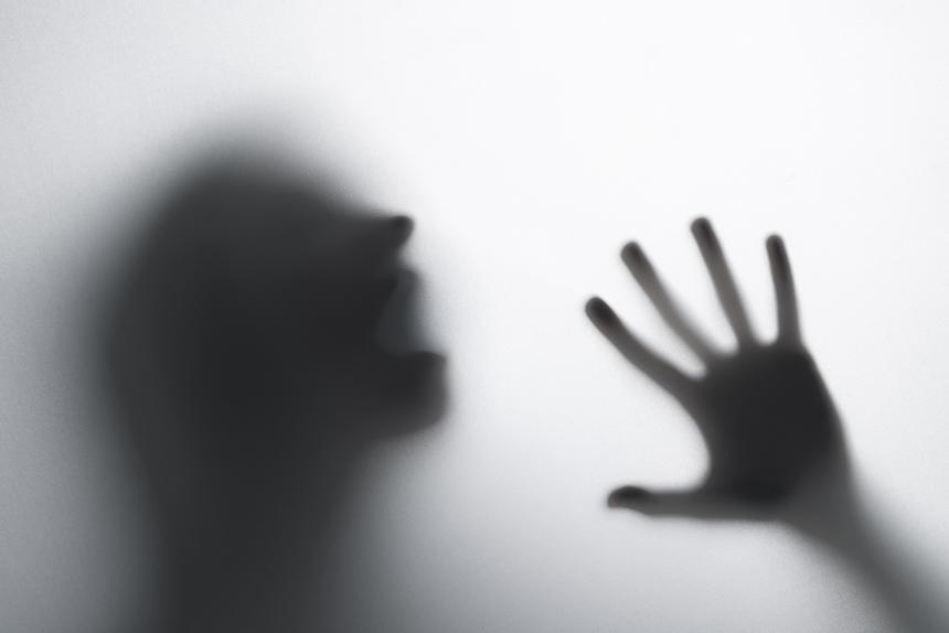 Приехали в гости: хозяин отрезал голову знакомой после застолья и убил ее шестилетнего сына