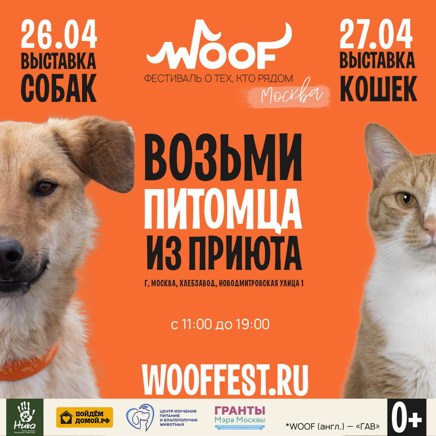Фестиваль WOOF в поддержку животных из приютов пройдет в Москве в 12 раз