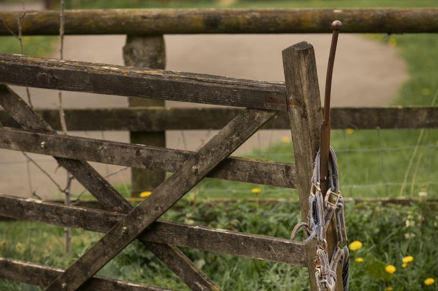 Криминалист заявил, что пермячка не могла залезть на забор при 5,8 промилле алкоголя в крови