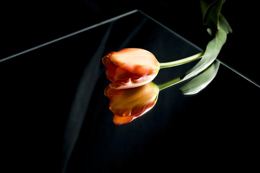 «20 суток был в реанимации. С этим не живут»: подробности смерти клавишника «Ленинграда» Дмитрия Иванова