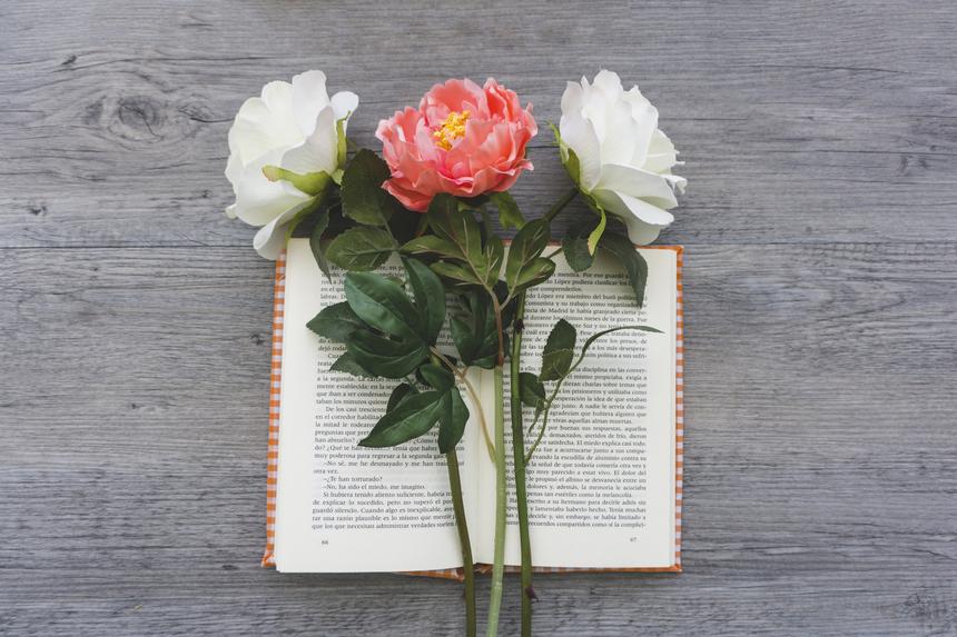 «Мне просто нечего терять»: погибшая в 37 лет поэтесса Инна Теплова предчувствовала свою смерть