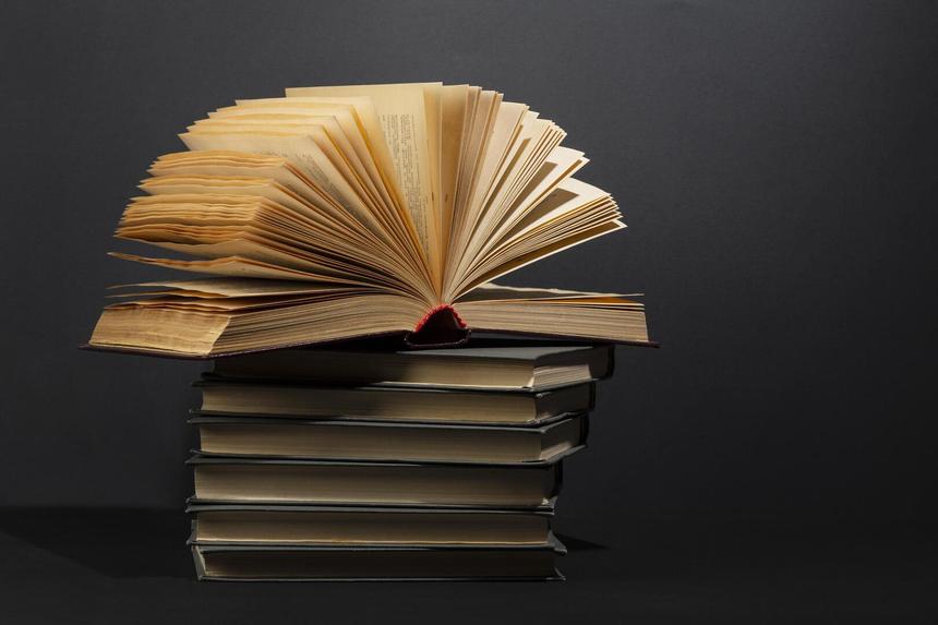 Писательница Уршула Козел умерла в 94 года через месяц после дня рождения