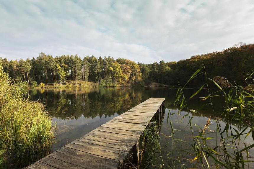 Россиянин получил «травму ныряльщика» во время плавания в озере
