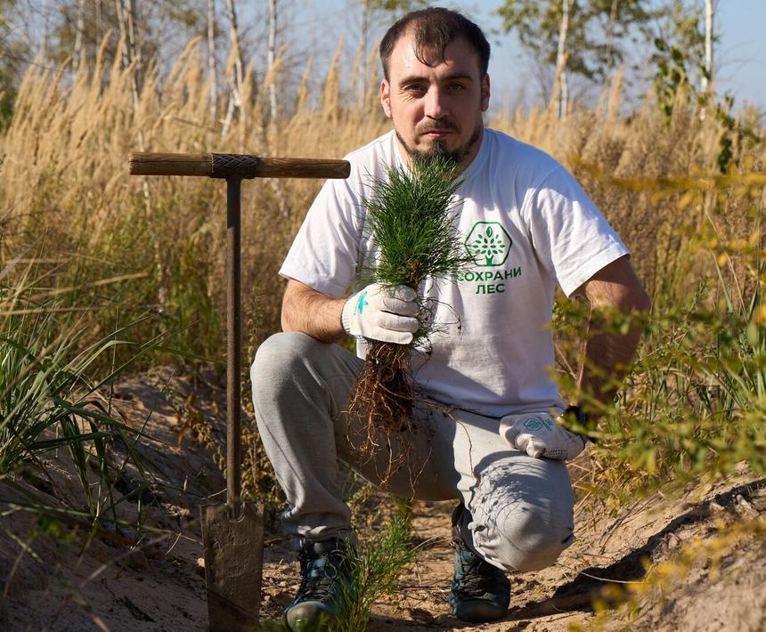 «Сложно представить мир без леса, но есть страны, в которых это реальность»: как в России борются за природу
