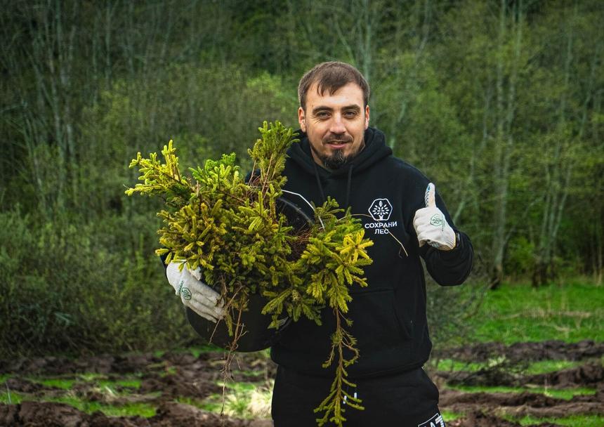 «Сложно представить мир без леса, но есть страны, в которых это реальность»: как в России борются за природу