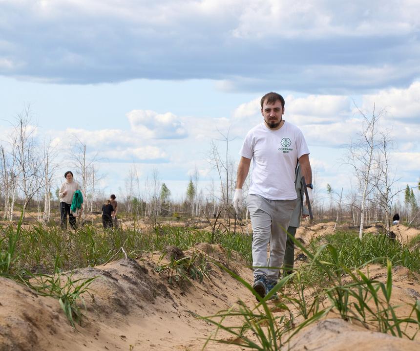 «Все хорошо, кроме двух моментов»: представляют ли электроавтомобили угрозу для лесов