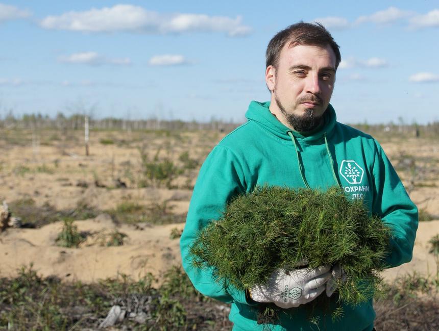 «Эта площадь равна примерно 2 территориям Армении»: сколько лесов в России погибает в год из-за пожаров