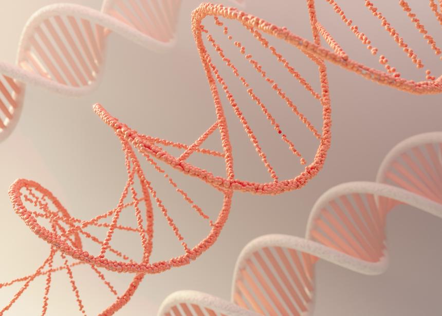 Умер американский молекулярный биолог, лауреат Нобелевской премии Дэвид Балтимор