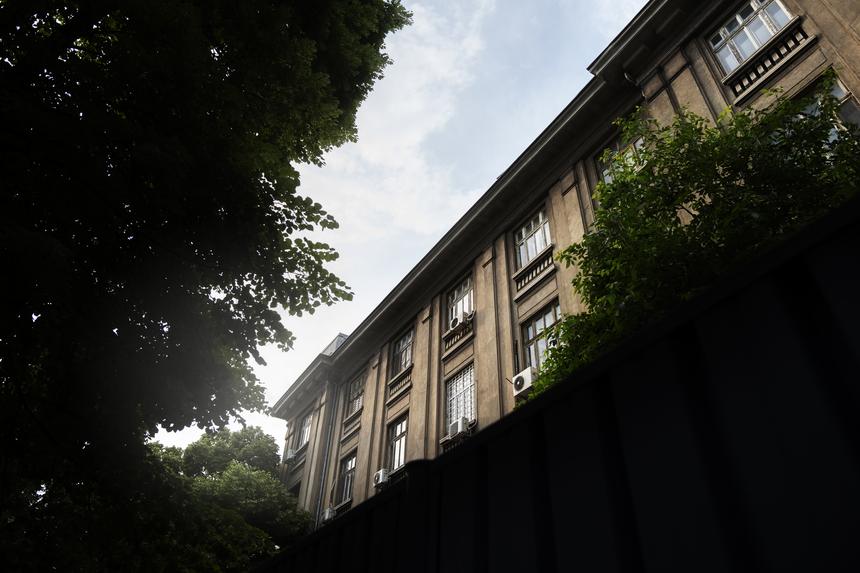 В Сети заговорили, что Елена Товстик участвовала в жизни «гаремного клуба» мужа