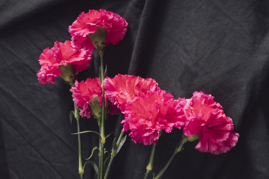 В возрасте 81 года умерла советская актриса Миле Шаблаускайте