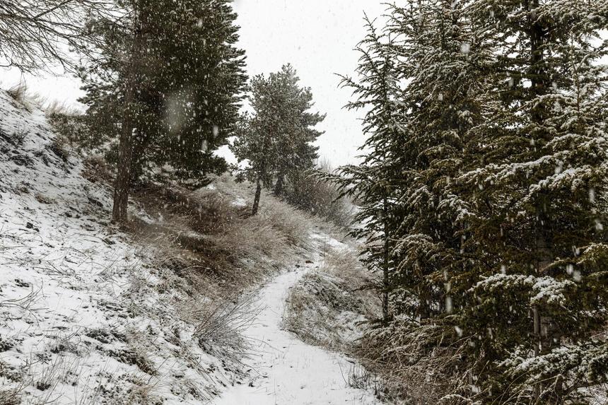 «Ориентирами являются только камни»: пропавшие Усольцевы могли совершить смертельную ошибку
