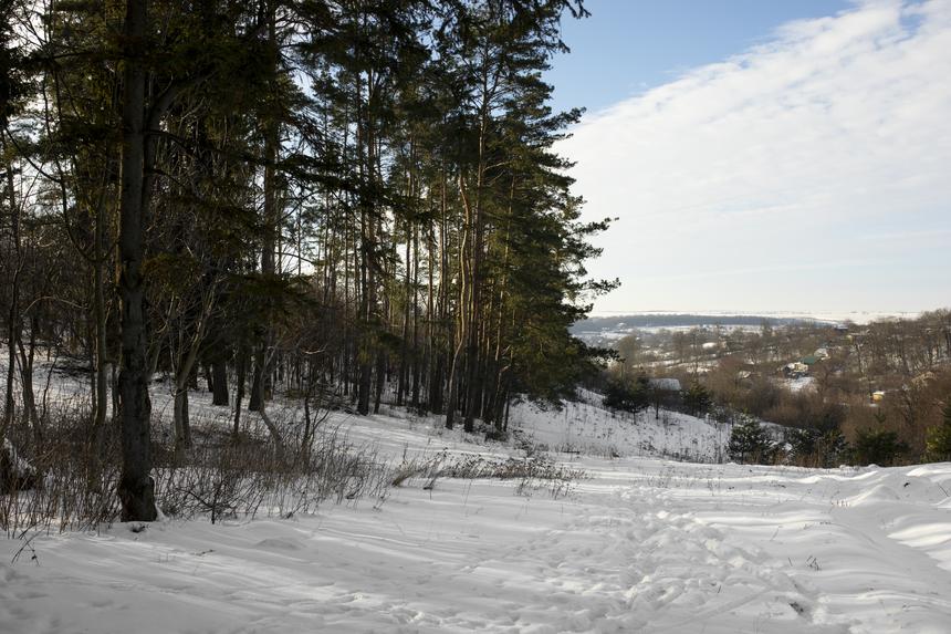 Следователи опросили более 60 человек по делу о пропаже семьи Усольцевых в тайге