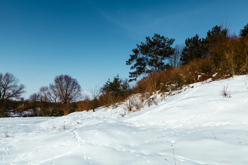 В ЯНАО пропала семья оленеводов с четырьмя маленькими детьми