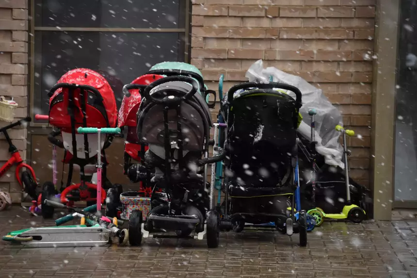 Получил 237 млн рублей: отца 600 несуществующих детей задержали за мошенничество